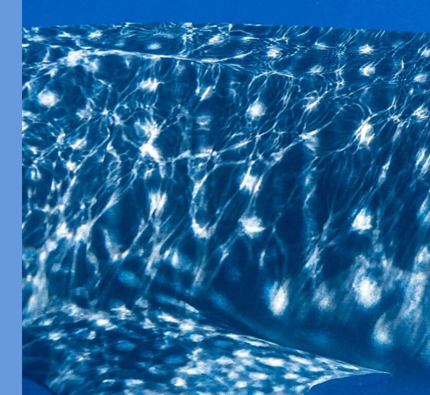 12fce75f-283e-4229-b53c-cd9fdd4507c0