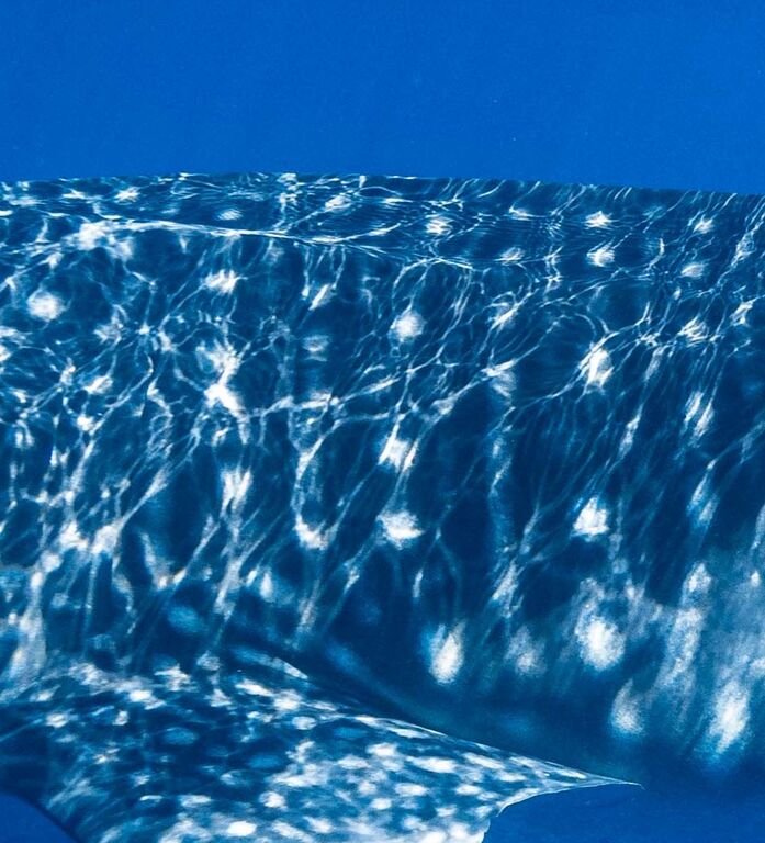 12fce75f-283e-4229-b53c-cd9fdd4507c0