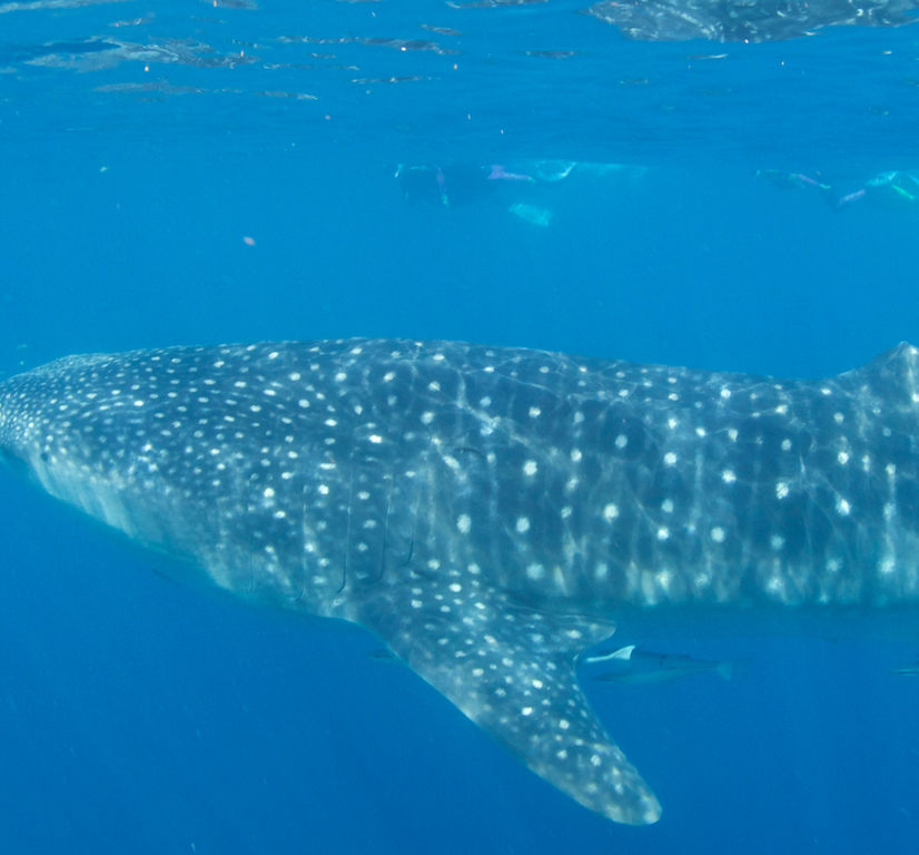 647d9347-c173-450d-ab98-f4f951020844