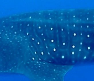 2be34d91-e6cf-4a8b-b5eb-3fff1da1da57