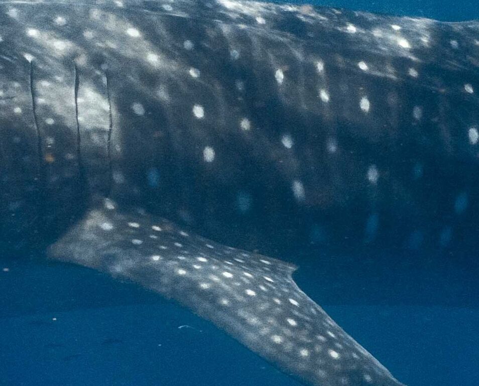 5c64125a-be46-4af2-94ae-cae7b677669d