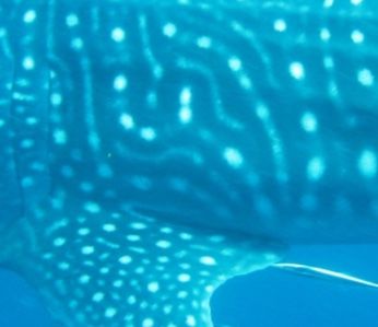 6987a642-0930-4d9f-b850-da7434e1f91e