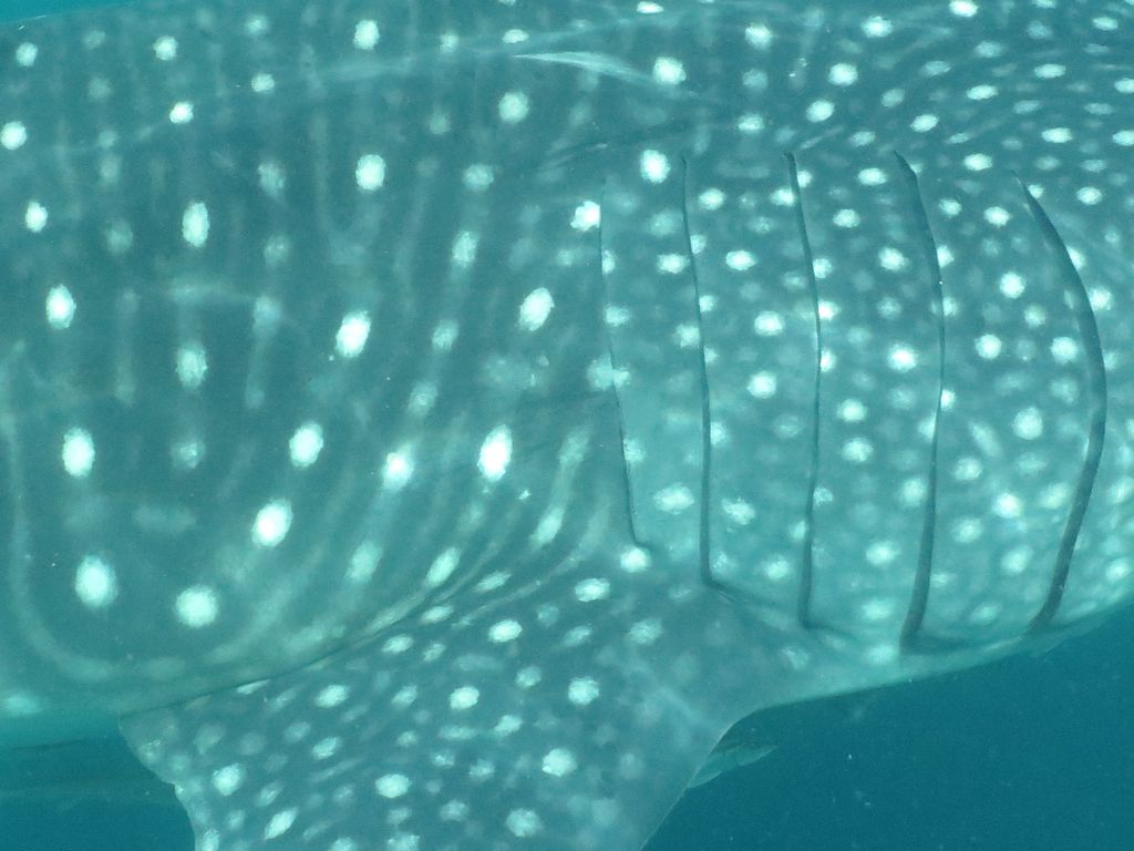 2a70f9ac-9dc7-47a8-b2d5-9edb60d6d710