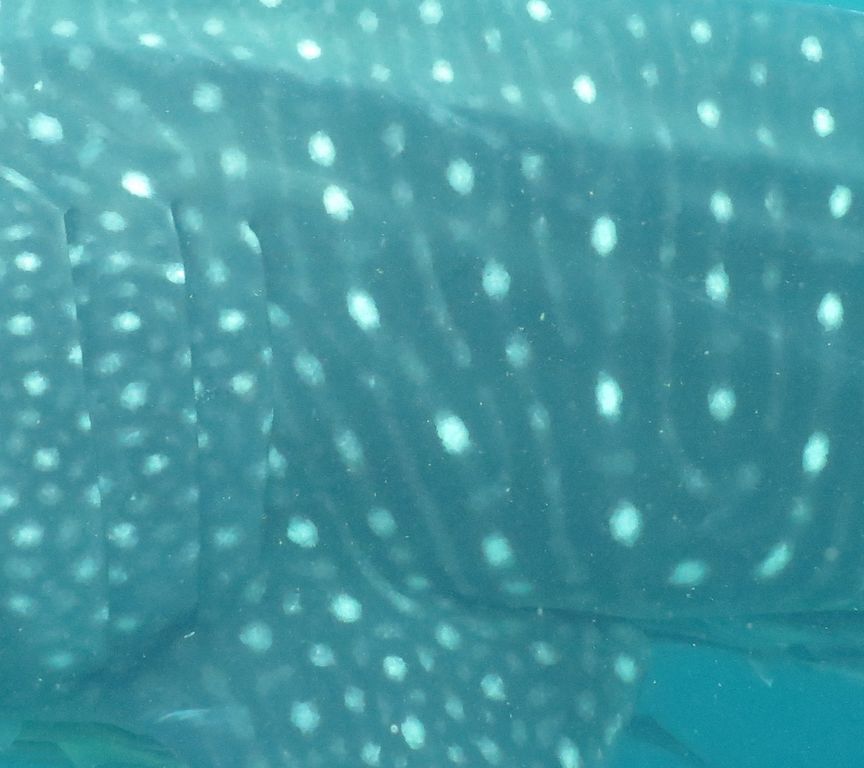 2a70f9ac-9dc7-47a8-b2d5-9edb60d6d710