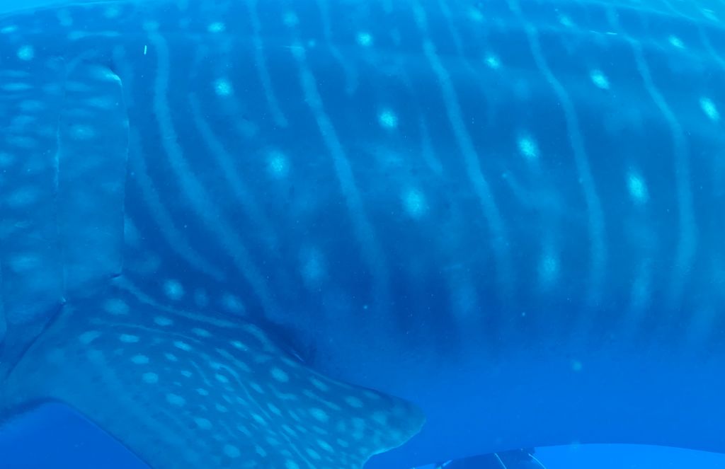 d1b750d5-db3e-4f26-961d-724a9080efc7