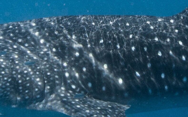 c0373ced-90d2-49f8-9679-57a3bf08c2eb