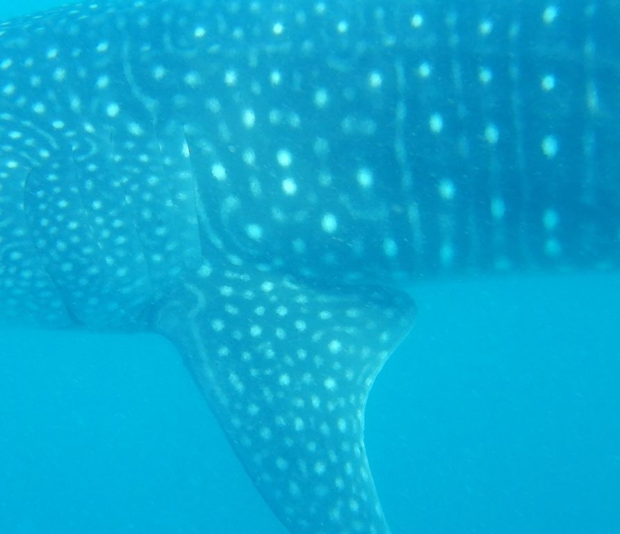 c5bc5673-466e-4fb4-b84c-e4f7d429b8c1