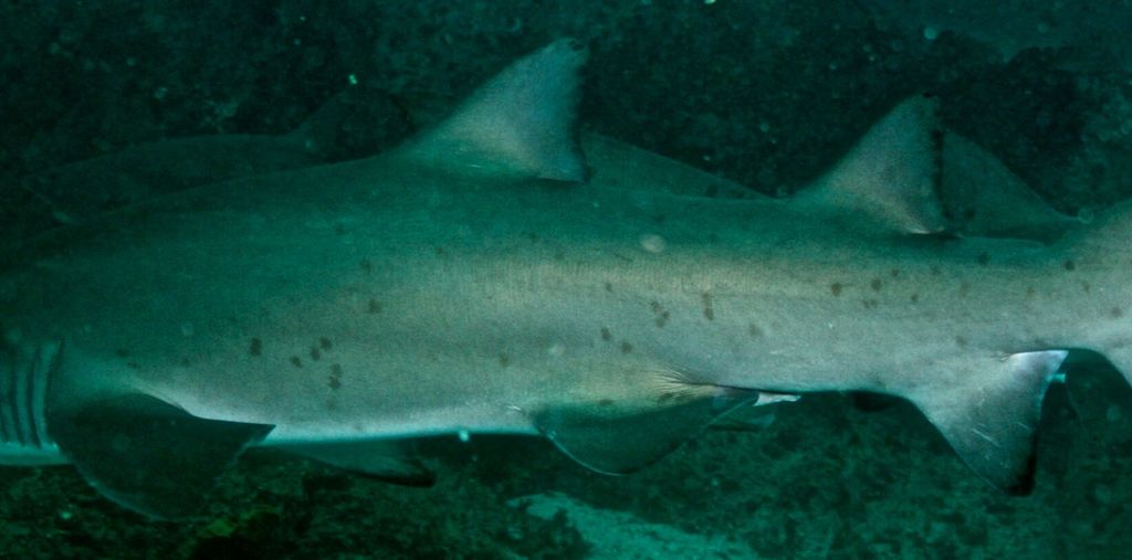 9a3b0cd8-477b-488e-990b-0c62a24083d9