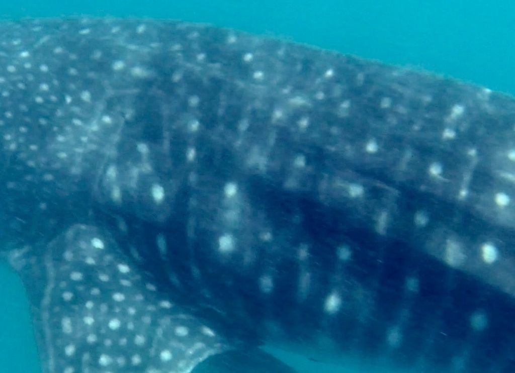 85ab8538-0469-4e04-a80c-7968ded5ec1b