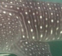 b58b0c4f-9cac-4369-b382-b7d9df0662e9