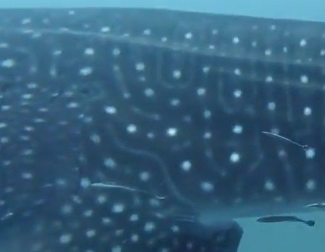 e0626ce5-2396-4c34-af0d-2685f086c562