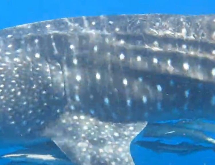 efdfb2dc-795c-4349-be0d-9919f9b4d893