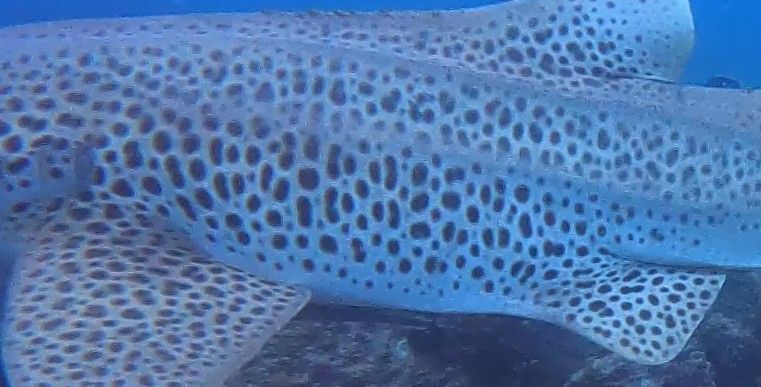 098cfc3f-e7c1-4857-b9ff-7a1d8ce08e29