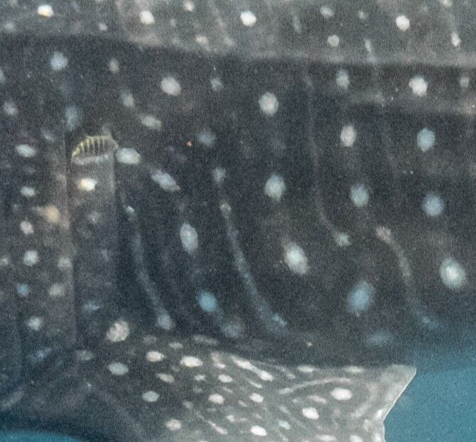 e5a9123d-edf3-4b27-96de-7d9727d50e9e