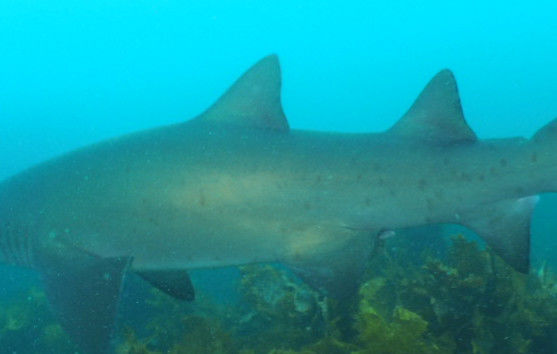 27fbbb42-3991-41da-b00b-55b53a949fc5