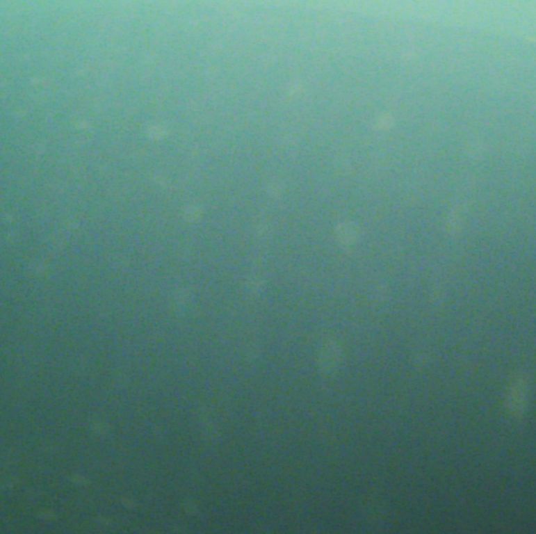 f0506170-239f-4e7a-a12f-d13cc218edd5