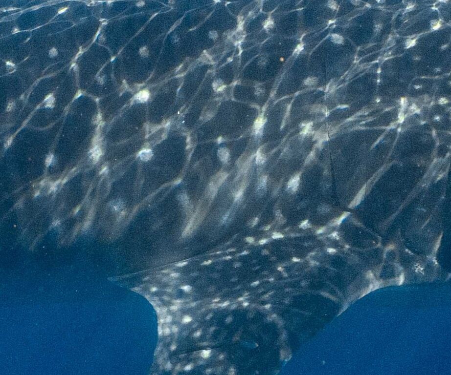 1c712fa3-2b4c-4b32-a024-7336d3ceeba0