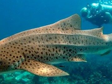 eedec8c1-ed39-413c-8b44-70c86b30f278