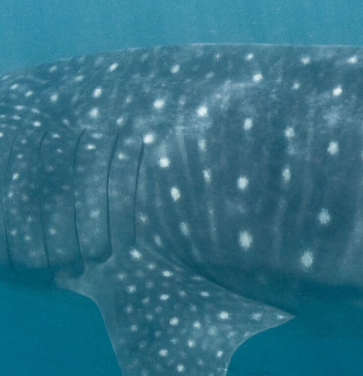 30269bde-eb0a-4c5f-8ccc-f1e880d1cf40