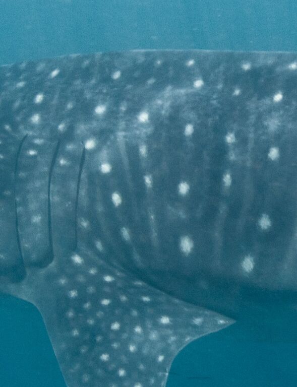 30269bde-eb0a-4c5f-8ccc-f1e880d1cf40