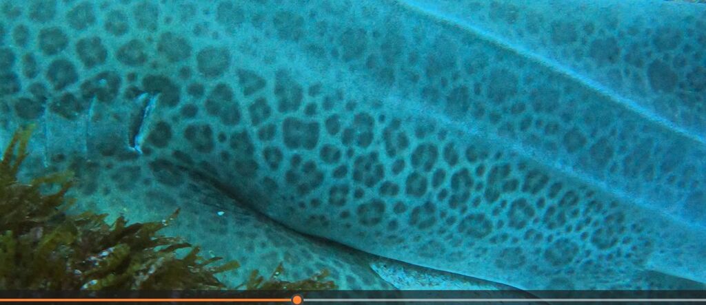 63a2f205-8804-4fcd-a2b2-41aa04b8f245