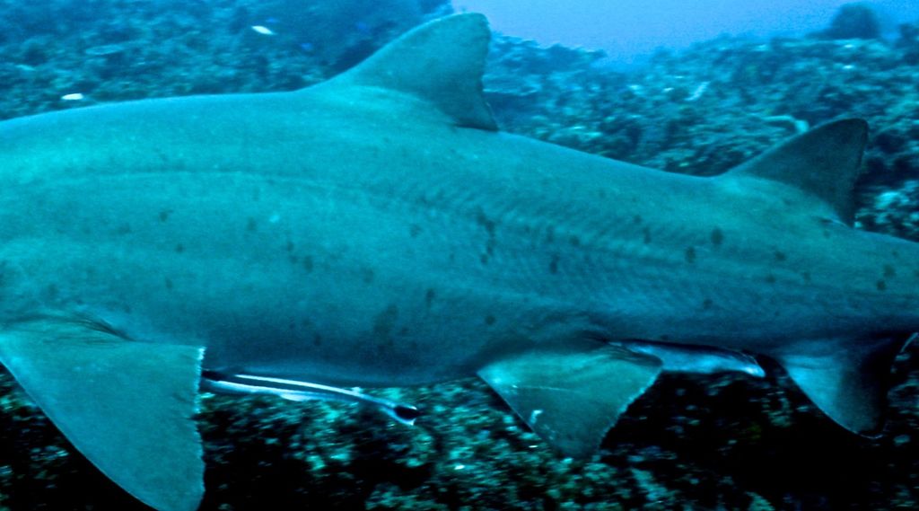 0e93db59-0678-498b-ac8d-457fe0a905bf