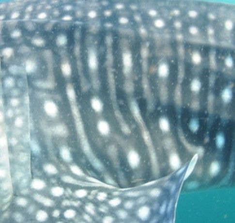 7f289576-093a-4ff4-864e-5ba7f9bad455