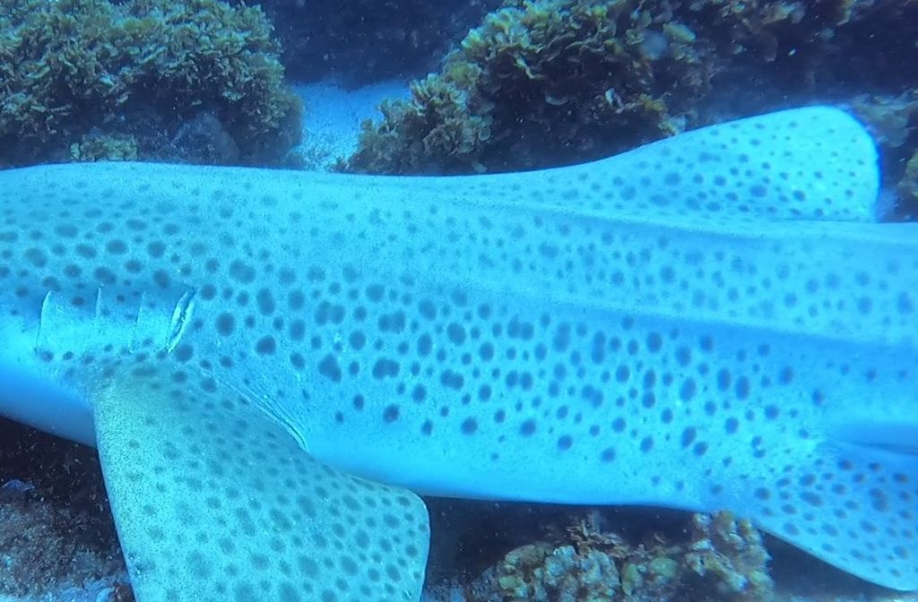 7a20eee5-1240-4d33-9791-baa73fa833ba