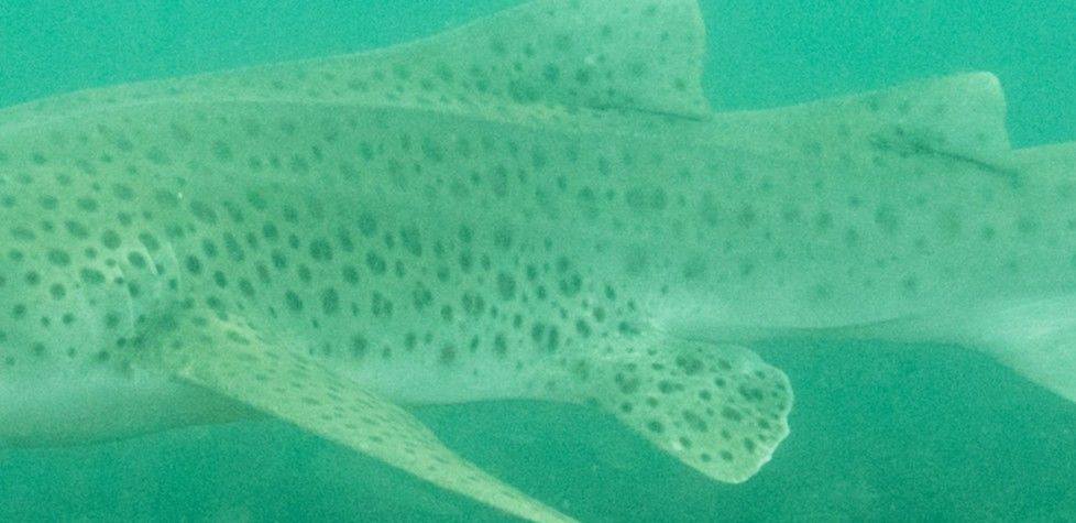 92b8c15e-8f8a-4395-aa83-22077c8abec2