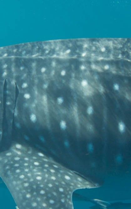 484d6beb-f0ad-40d2-927a-267f6e089635