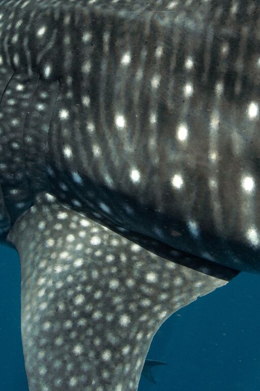 8094d9aa-3773-41f6-9983-558c333c01a7