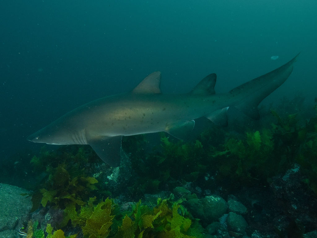 6b173300-0566-4dcd-9607-578a976ad350