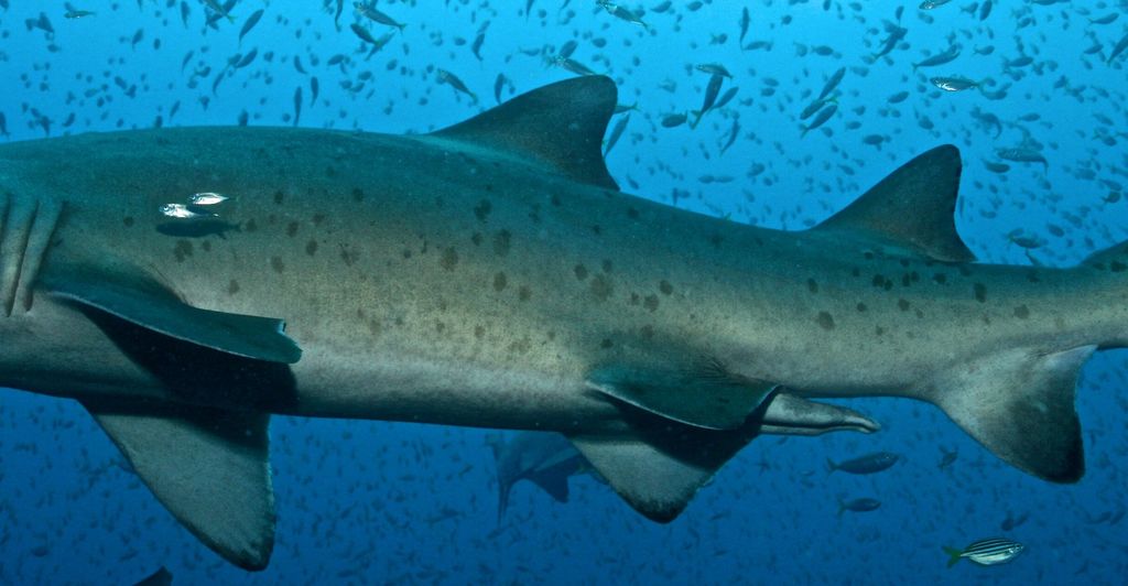 6ce3cb50-3744-41a8-a03a-75aac1f05efb