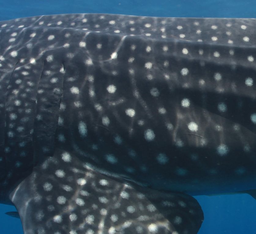 eb42f1ae-bbbd-4056-b454-b21e30898150