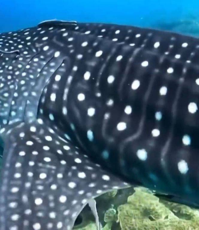 56552679-a74d-46cd-b72b-cbf78356b6f8