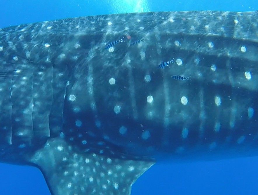 7ee91e8f-68c5-4900-aade-8d8ac7fb4566