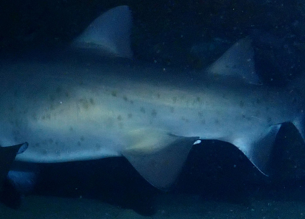 403c0e07-cd6c-4562-b38b-57e6c1088614