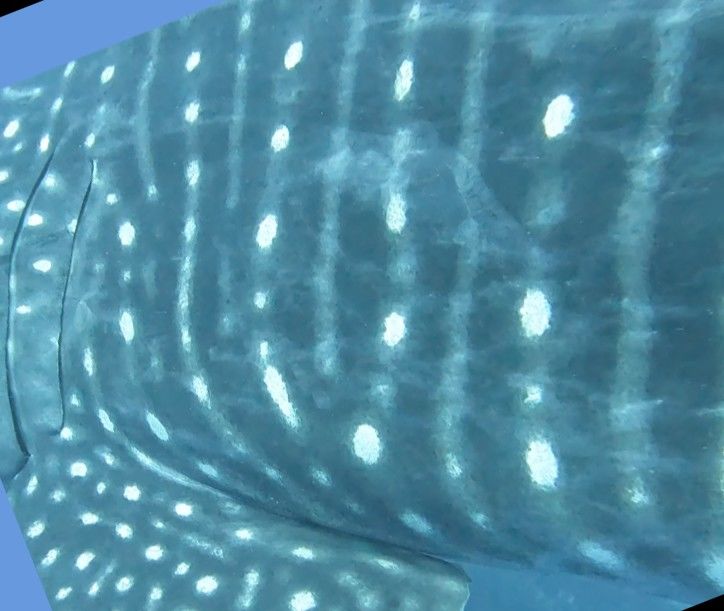 da4d97a7-2da8-449e-a802-5f3bbbbcd5d6