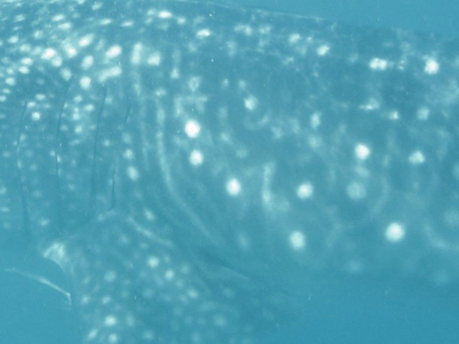 7ebd2f85-3f8d-4a56-9e8b-3882b7fc6764