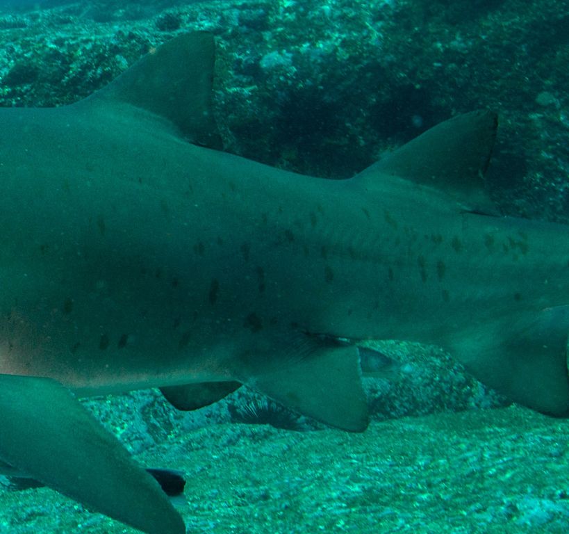 52b377e0-3584-4c16-8a39-893bfe26e906