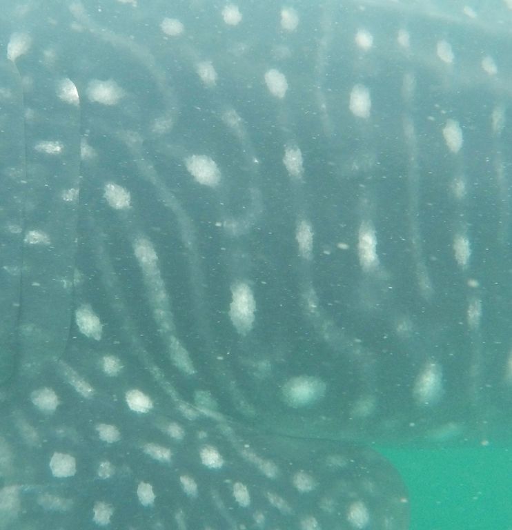 957c07f2-ed85-4386-b7be-7ded12357db5