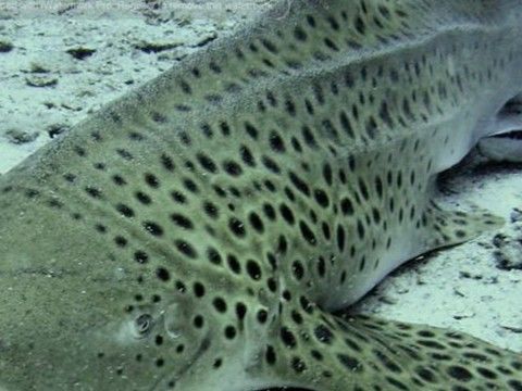 c3a739e1-d5ef-4076-bde6-51b95e2f3337