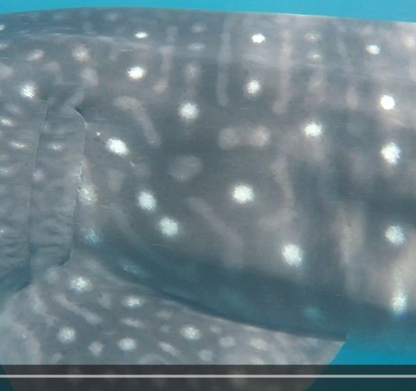 3fa1c1d0-fd54-4226-a5ab-82d60ce54141