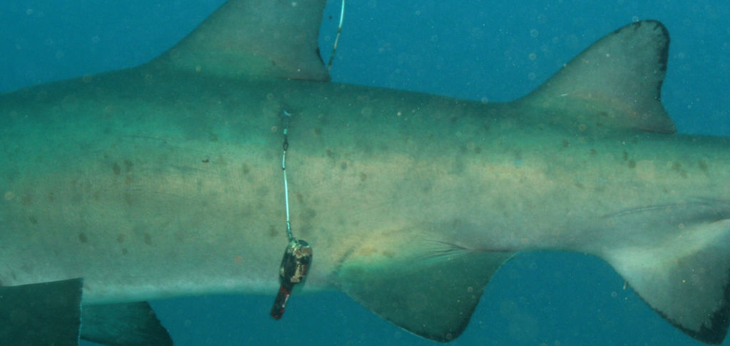 77be973a-84b6-4805-a4c4-ffb717a057ba