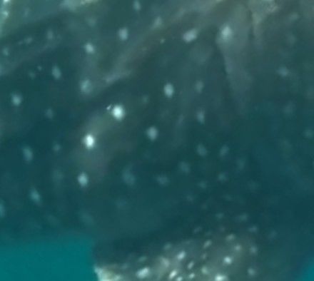 9713129f-f4b3-4c17-bec0-ca3686fceb03