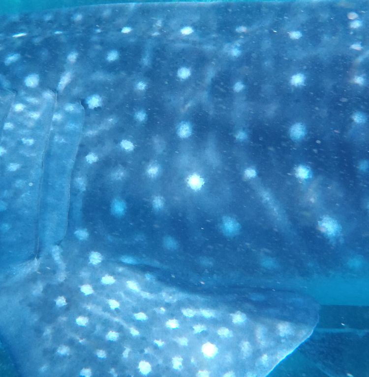 4a5cf9cb-3473-400b-b15c-846fac8198d3