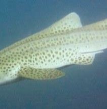 7d8a3bd2-49ec-45a5-8cb1-6fa2d4c559b3