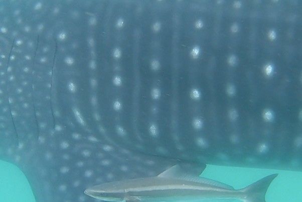 5f6385d4-9a60-446b-92ad-1085c33c3771