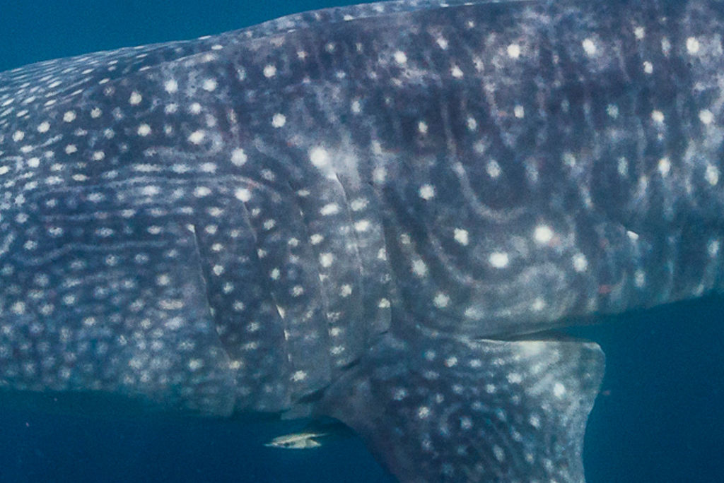 7dff9374-298b-44f6-9855-c0be59529f41