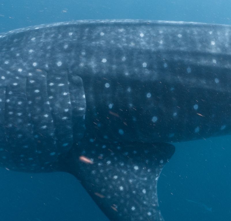 90940b81-bdf8-45f2-8225-edfb181b24f6